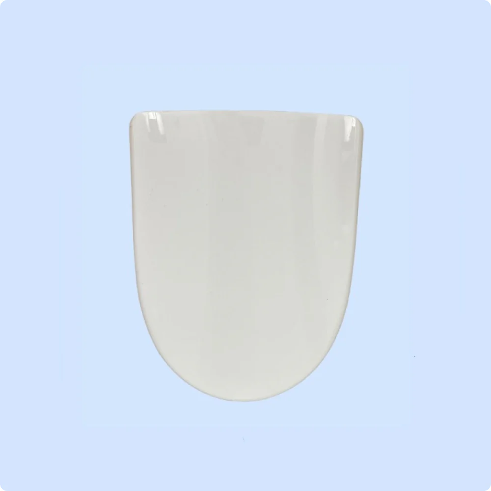 Ace Electric Bidet Lid - Round - Image 4