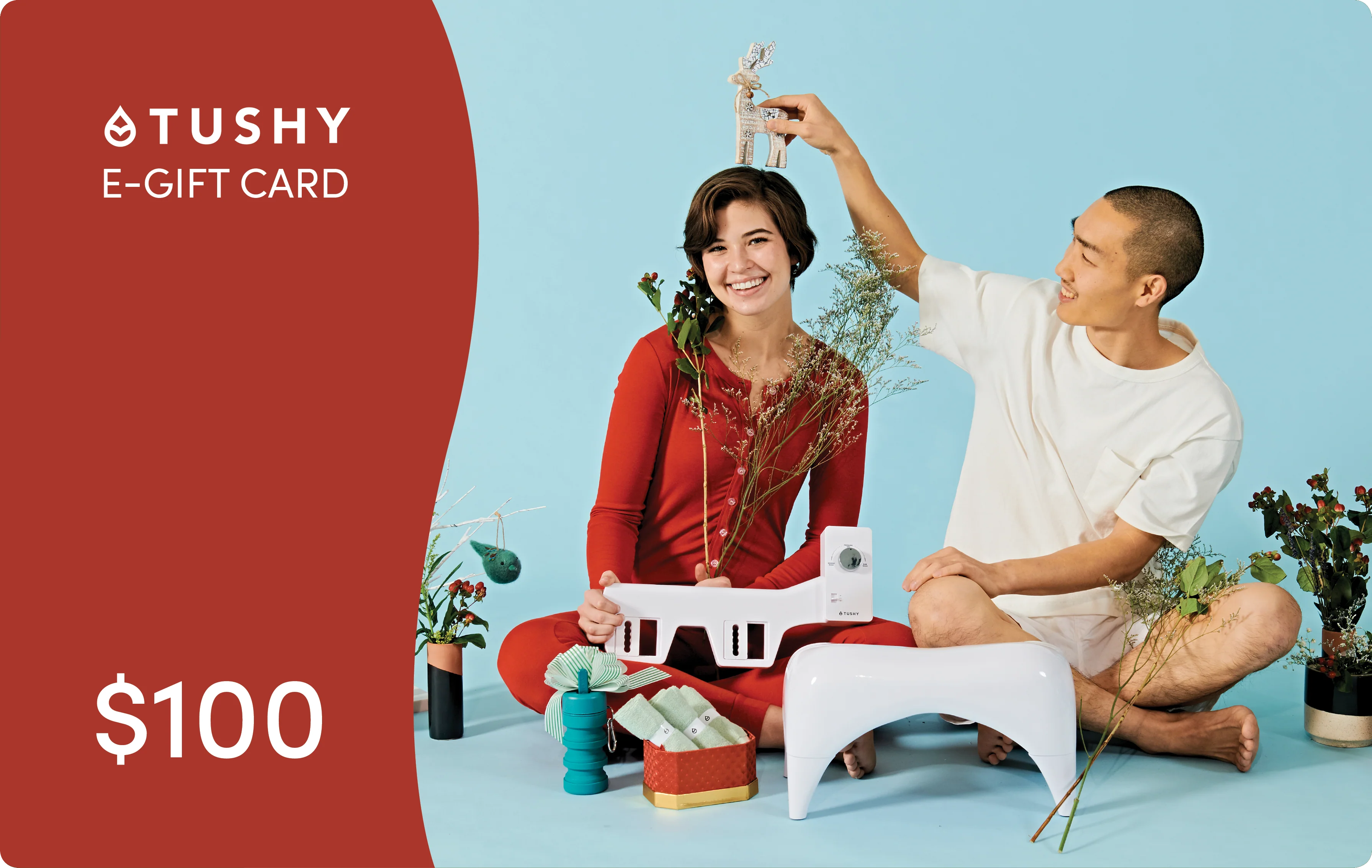 TUSHY E-Gift Cards - Image 17